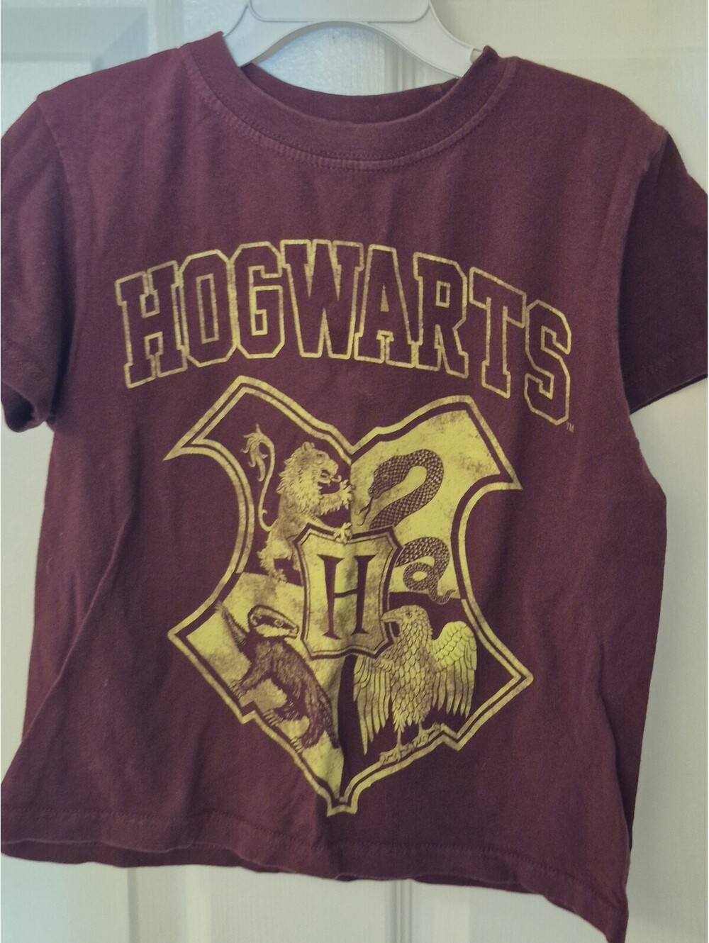 Harry Potter Hogwarts Crest Graphic T-shirt